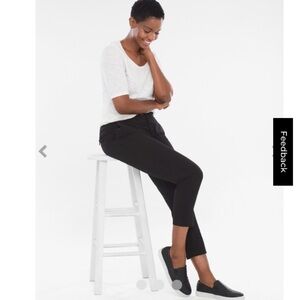 Chico's Pant Trouser Neema Pull On Ankle Athleisure Active Comfortable Sweater